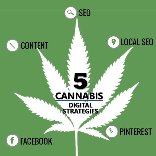 5 Online Strategies to Market Your Cannabis Business 39 Celsius Web