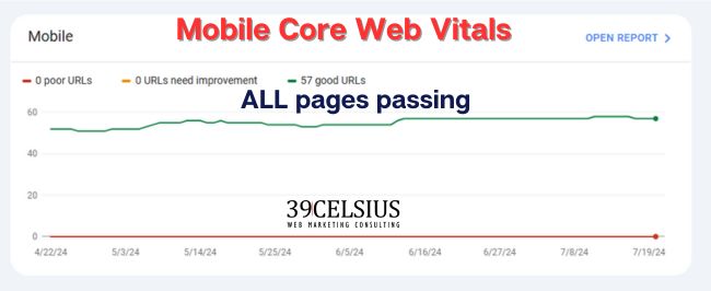 Mobile Core Web Vitals -All Pages Passing Case Study